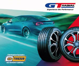 GT RADIAL 300x250