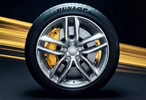 Dunlop Response TG
